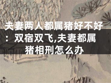 夫妻两人都属猪好不好：双宿双飞,夫妻都属猪相刑怎么办