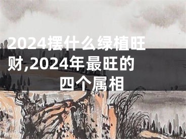 2024摆什么绿植旺财,2024年最旺的四个属相