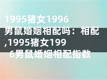 1995猪女1996男鼠婚姻相配吗：相配,1995猪女1996男鼠婚姻相配指数