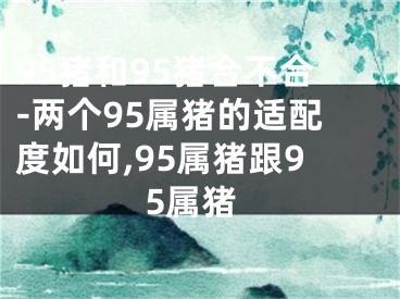 95猪和95猪合不合-两个95属猪的适配度如何,95属猪跟95属猪