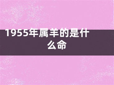 1955年属羊的是什么命