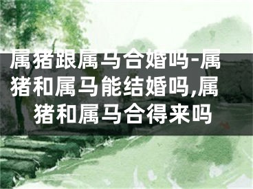 属猪跟属马合婚吗-属猪和属马能结婚吗,属猪和属马合得来吗