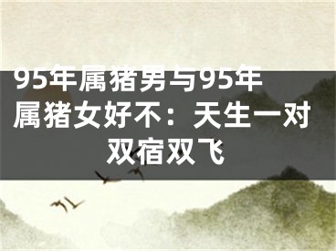 95年属猪男与95年属猪女好不：天生一对双宿双飞