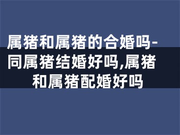 属猪和属猪的合婚吗-同属猪结婚好吗,属猪和属猪配婚好吗