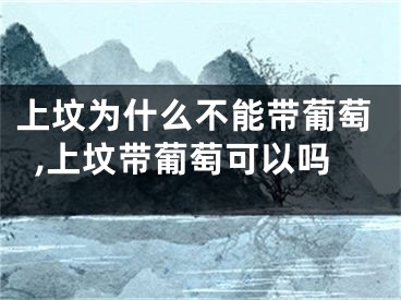 上坟为什么不能带葡萄,上坟带葡萄可以吗
