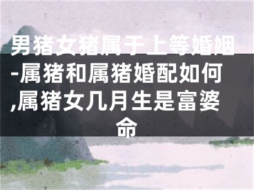 男猪女猪属于上等婚姻-属猪和属猪婚配如何,属猪女几月生是富婆命