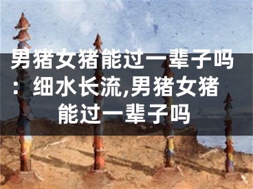 男猪女猪能过一辈子吗：细水长流,男猪女猪能过一辈子吗