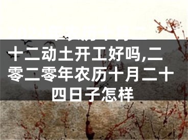 2024年农历十月二十二动土开工好吗,二零二零年农历十月二十四日子怎样