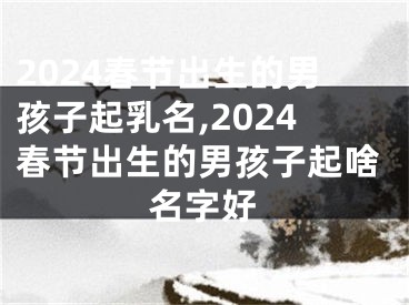 2024春节出生的男孩子起乳名,2024春节出生的男孩子起啥名字好