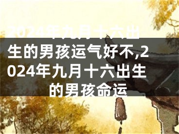 2024年九月十六出生的男孩运气好不,2024年九月十六出生的男孩命运