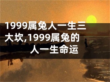 1999属兔人一生三大坎,1999属兔的人一生命运