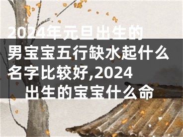 2024年元旦出生的男宝宝五行缺水起什么名字比较好,2024出生的宝宝什么命