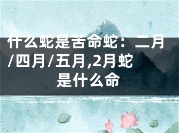 什么蛇是苦命蛇：二月/四月/五月,2月蛇是什么命
