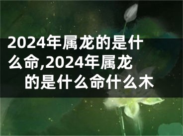2024年属龙的是什么命,2024年属龙的是什么命什么木