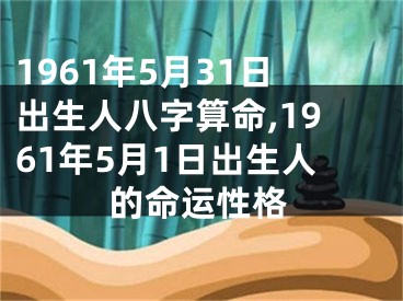 1961年5月31日出生人八字算命,1961年5月1日出生人的命运性格