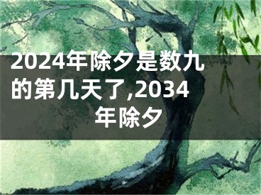 2024年除夕是数九的第几天了,2034年除夕