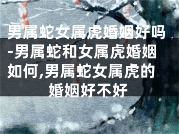 男属蛇女属虎婚姻好吗-男属蛇和女属虎婚姻如何,男属蛇女属虎的婚姻好不好