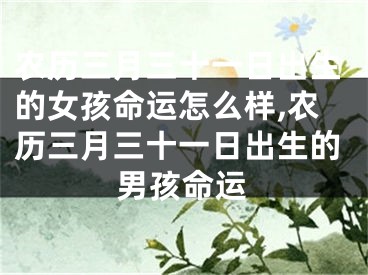农历三月三十一日出生的女孩命运怎么样,农历三月三十一日出生的男孩命运
