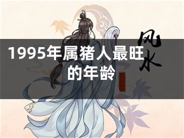 1995年属猪人最旺的年龄