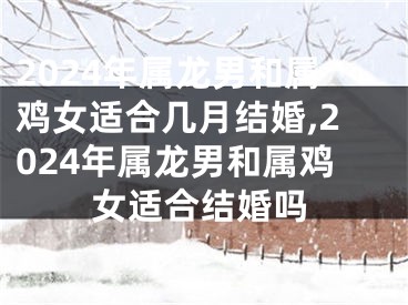 2024年属龙男和属鸡女适合几月结婚,2024年属龙男和属鸡女适合结婚吗