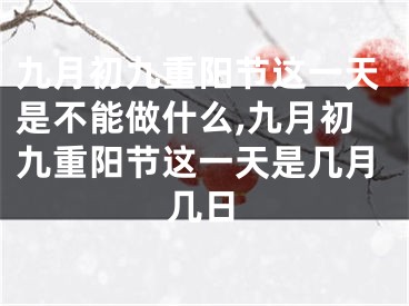 九月初九重阳节这一天是不能做什么,九月初九重阳节这一天是几月几日