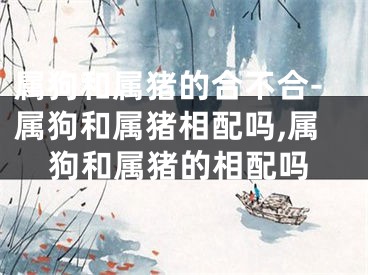 属狗和属猪的合不合-属狗和属猪相配吗,属狗和属猪的相配吗