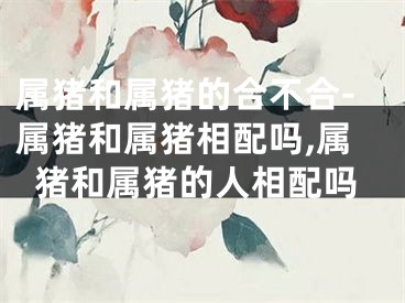 属猪和属猪的合不合-属猪和属猪相配吗,属猪和属猪的人相配吗