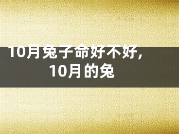10月兔子命好不好,10月的兔