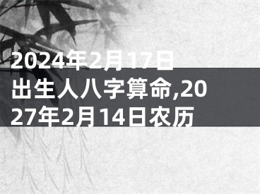 2024年2月17日出生人八字算命,2027年2月14日农历
