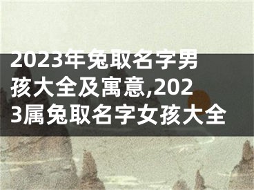 2023年兔取名字男孩大全及寓意,2023属兔取名字女孩大全