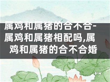 属鸡和属猪的合不合-属鸡和属猪相配吗,属鸡和属猪的合不合婚