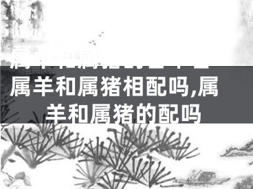 属羊和属猪的合不合-属羊和属猪相配吗,属羊和属猪的配吗