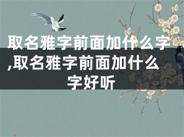 取名雅字前面加什么字,取名雅字前面加什么字好听