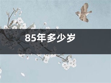 85年多少岁