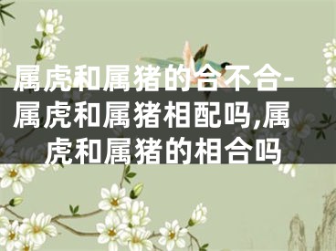 属虎和属猪的合不合-属虎和属猪相配吗,属虎和属猪的相合吗