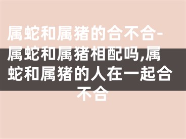 属蛇和属猪的合不合-属蛇和属猪相配吗,属蛇和属猪的人在一起合不合