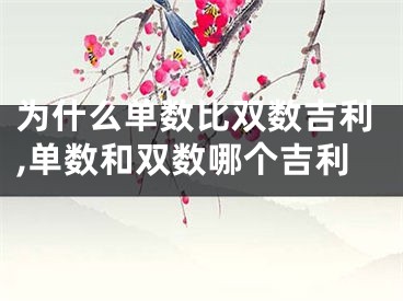 为什么单数比双数吉利,单数和双数哪个吉利