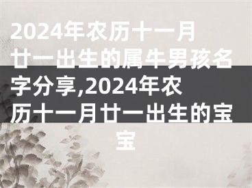 2024年农历十一月廿一出生的属牛男孩名字分享,2024年农历十一月廿一出生的宝宝