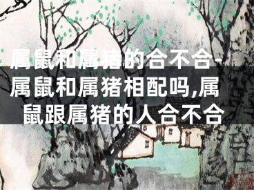 属鼠和属猪的合不合-属鼠和属猪相配吗,属鼠跟属猪的人合不合
