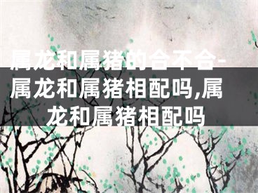 属龙和属猪的合不合-属龙和属猪相配吗,属龙和属猪相配吗