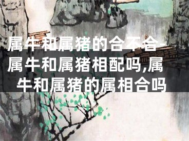 属牛和属猪的合不合-属牛和属猪相配吗,属牛和属猪的属相合吗