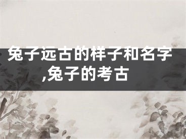 兔子远古的样子和名字,兔子的考古