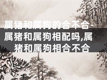 属猪和属狗的合不合-属猪和属狗相配吗,属猪和属狗相合不合