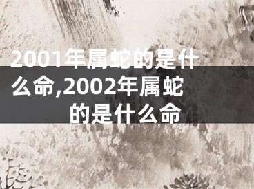 2001年属蛇的是什么命,2002年属蛇的是什么命