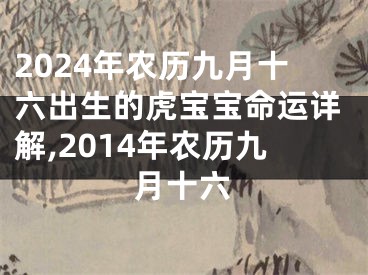 2024年农历九月十六出生的虎宝宝命运详解,2014年农历九月十六