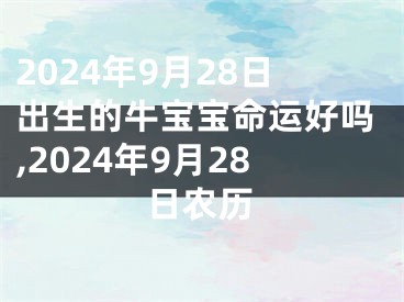 2024年9月28日出生的牛宝宝命运好吗,2024年9月28日农历