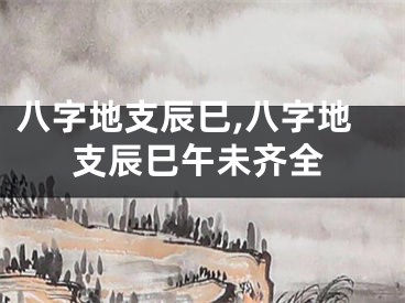 八字地支辰巳,八字地支辰巳午未齐全