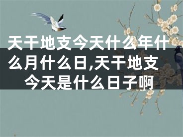 天干地支今天什么年什么月什么日,天干地支今天是什么日子啊