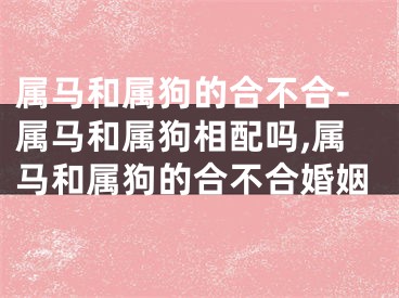属马和属狗的合不合-属马和属狗相配吗,属马和属狗的合不合婚姻
