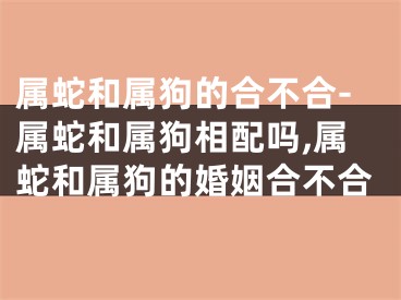 属蛇和属狗的合不合-属蛇和属狗相配吗,属蛇和属狗的婚姻合不合